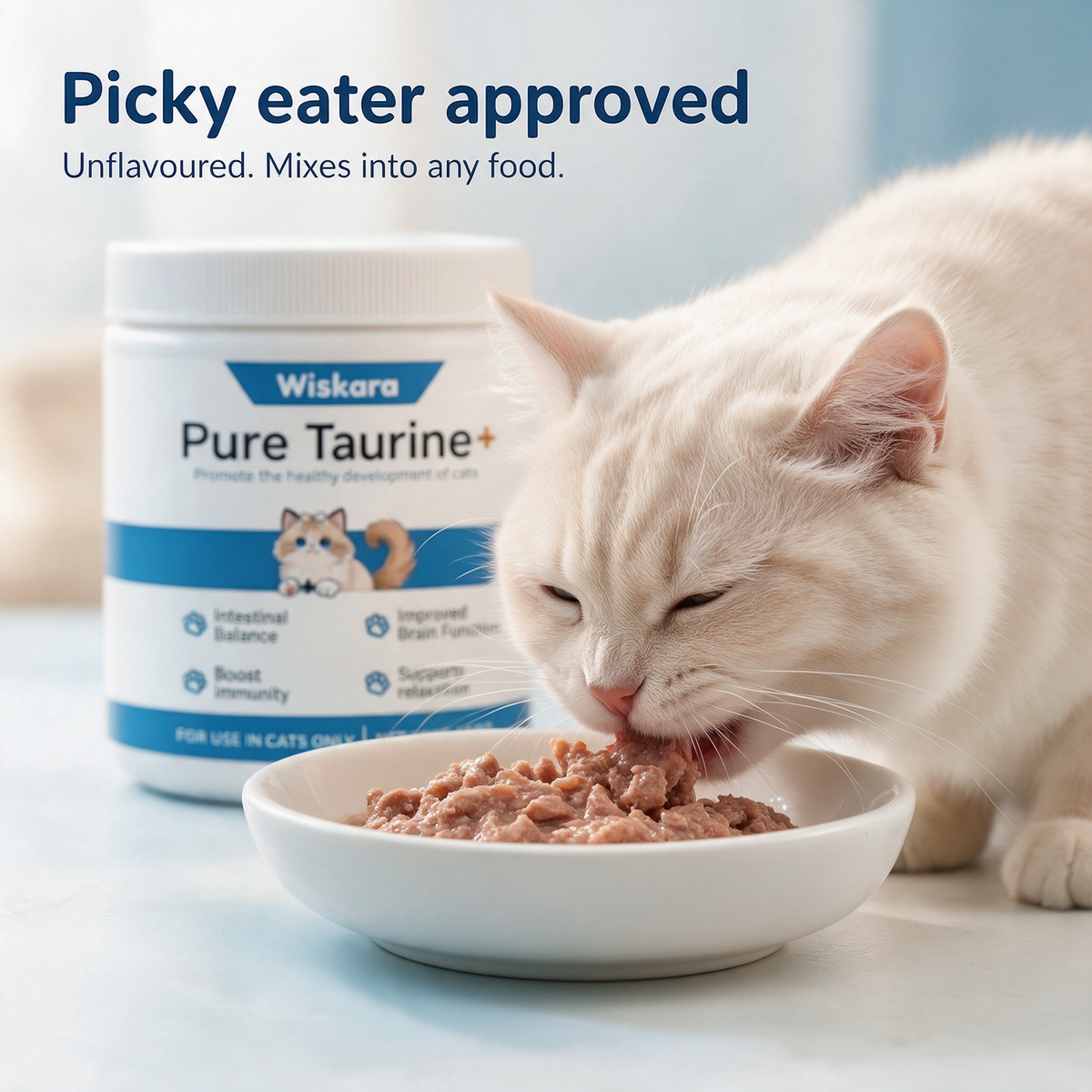 Picky eater approved: unflavoured and mixes into any food