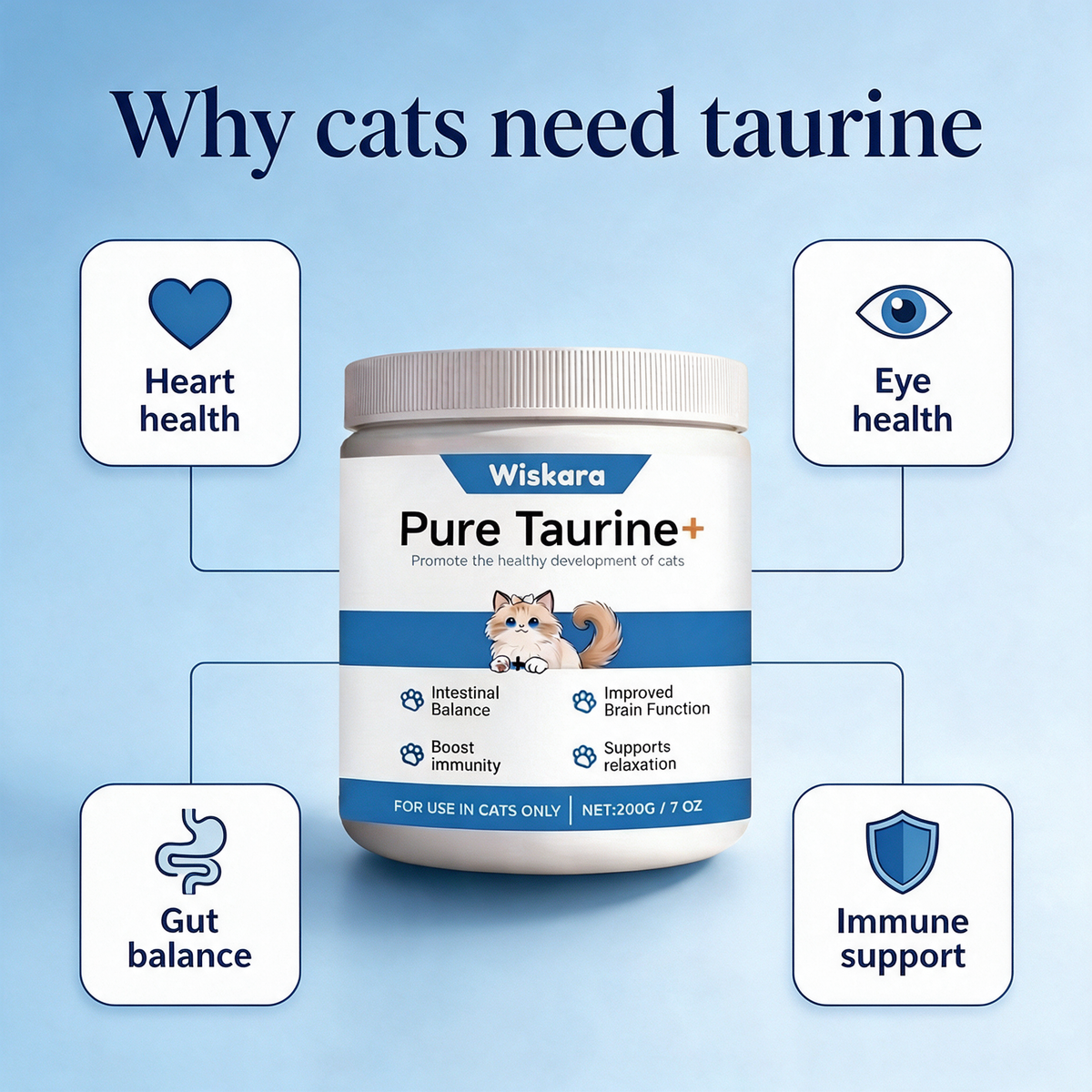 Why cats need taurine: heart, eye, gut and immune support