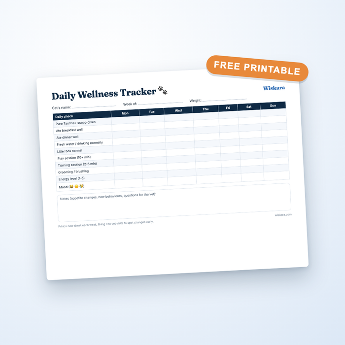 Daily Wellness Tracker (Printable)